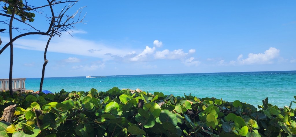 My First Time In&nbsp;Florida