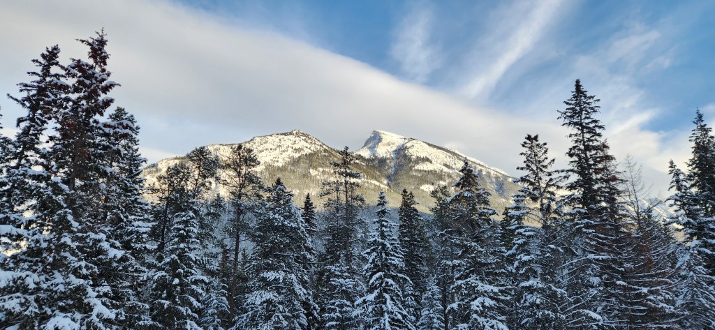 Christmas In Alberta